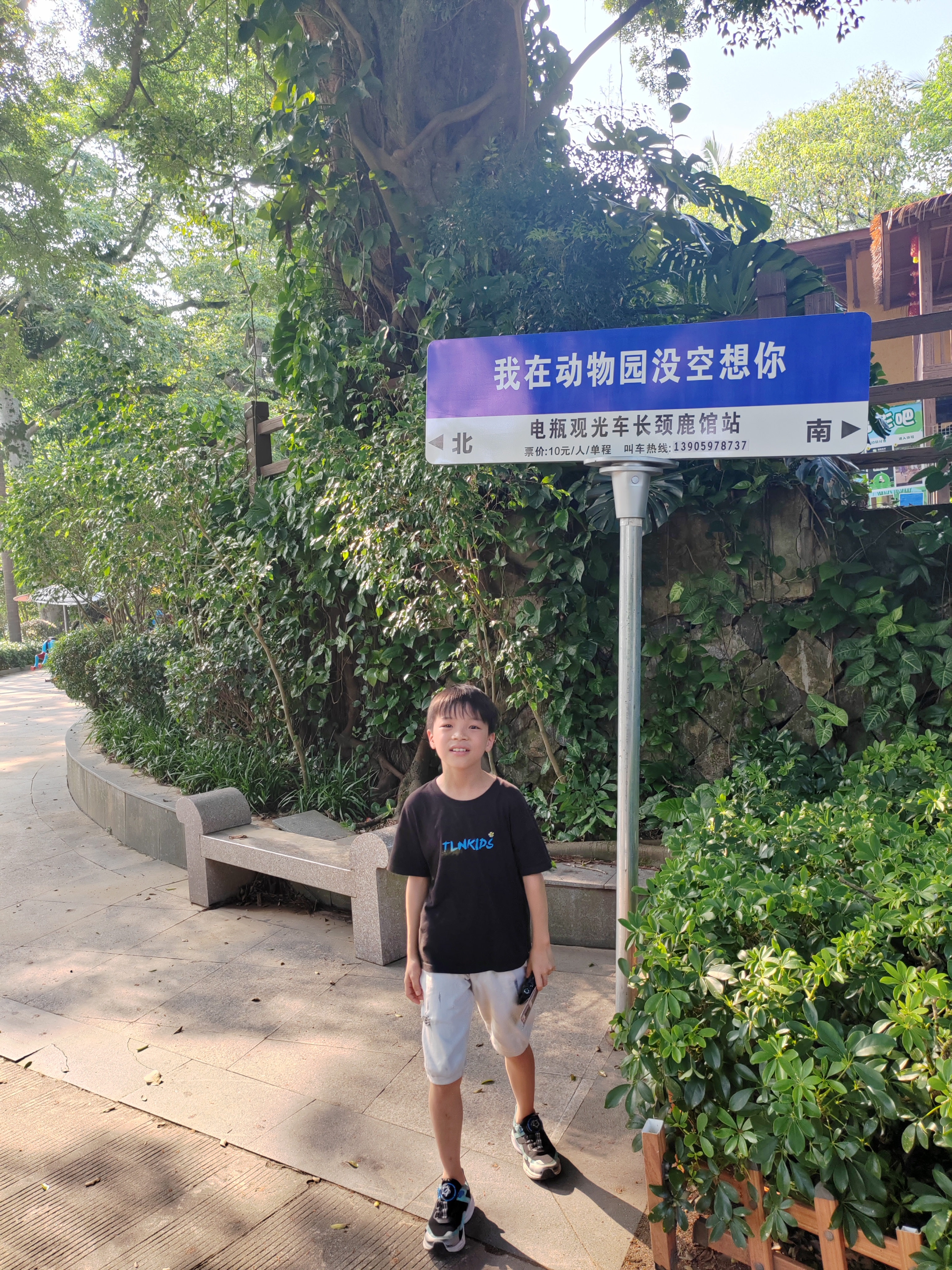 去动物园玩